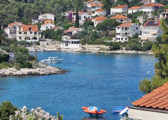 Ana Trogir