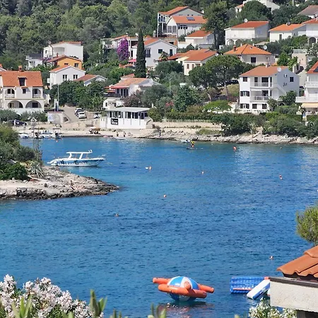 Ana Trogir